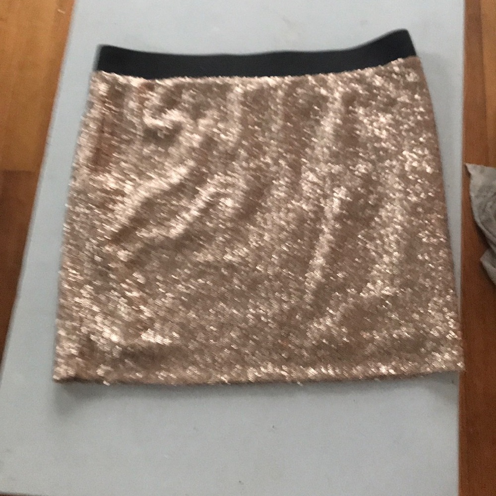 Sequin Skirt